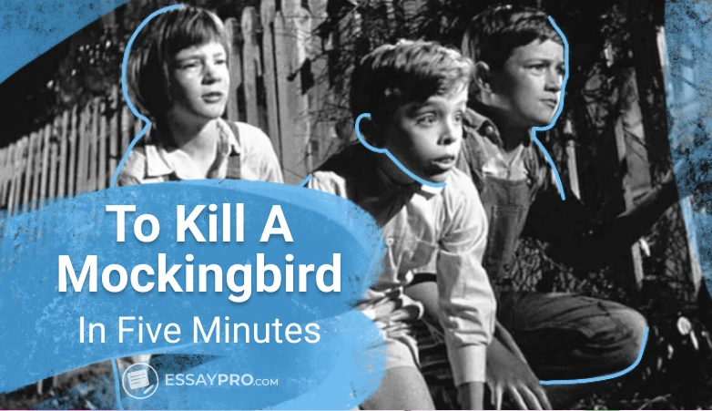 To Kill A Mockingbird Chapter 9 Summary To Kill a Mockingbird Short Summary | EssayPro